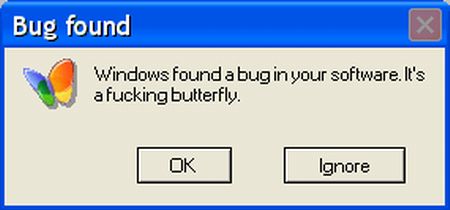 Windows Found A Bug
