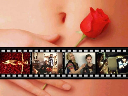 american beauty wallpaper