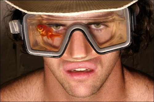 Gold Fish Goggles