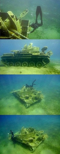 Sea Tank