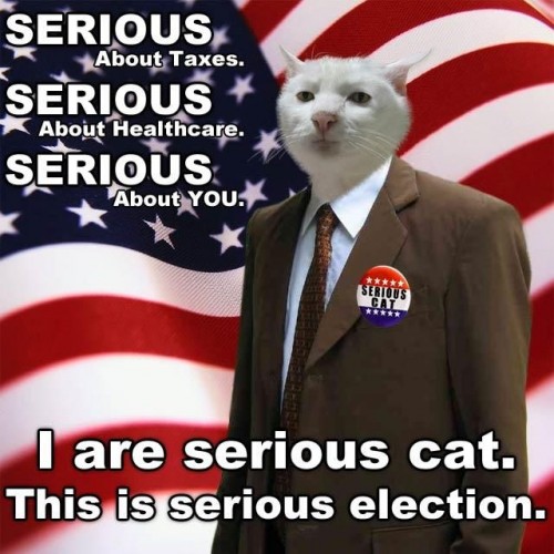 serious_election