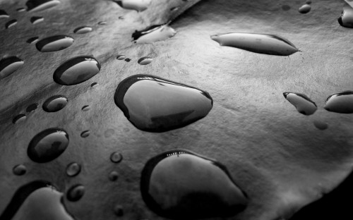 Water Spots