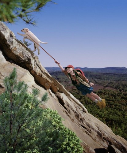 Incredible Puppy Climber