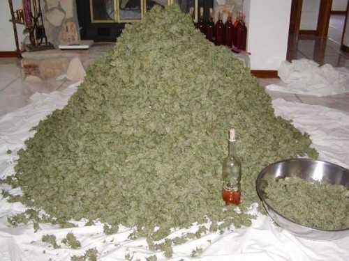 pile of weed