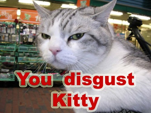 you disgust kitty