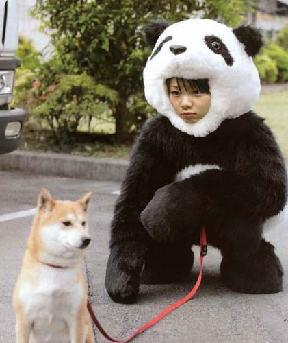 Panda Dog Walker