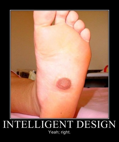 intelligent design - yeah right - nipple foot