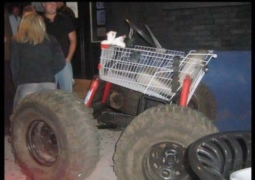 ATV Shopping Cart