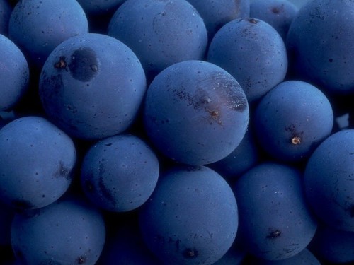 Blue berries
