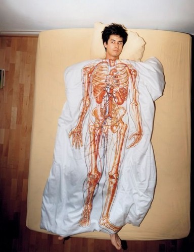 bones and circulatory system bedding