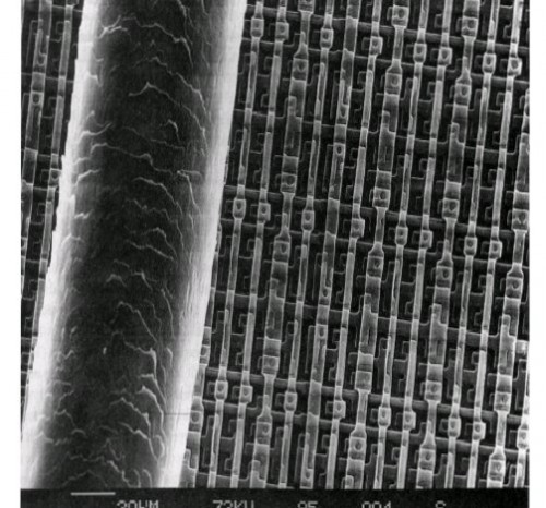 Human hair next to your average transistor array from the 1980s