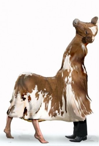 Sexy Cow Costume