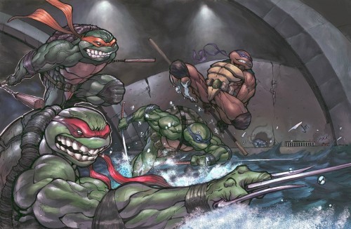 The Teenage Mutant Ninja Turtles In The Sewers