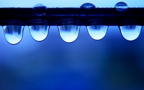 Water Drops