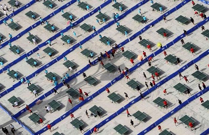 Ping Pong Competition - MyConfinedSpace