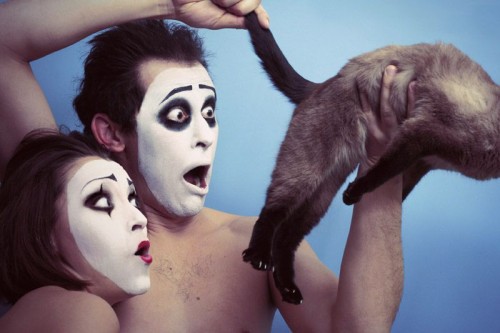 mime anal cat shock