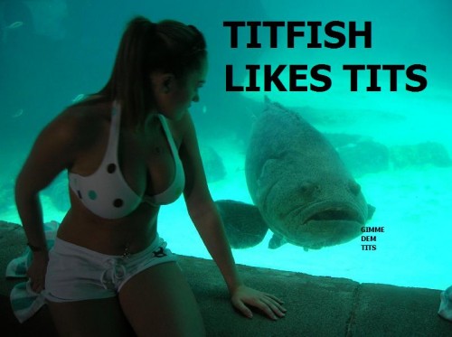 titfish likes tits