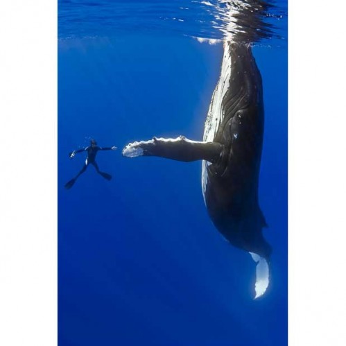 coolest-high-five-ever