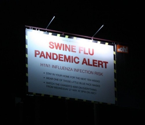swine flue pandemic alert