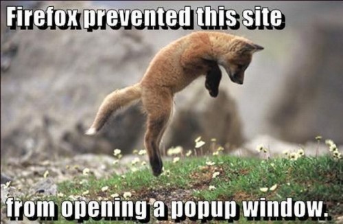 firfox presented this site from opening a popup window