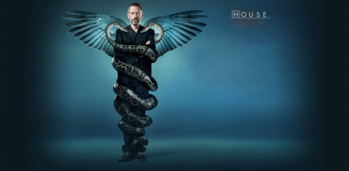 house vs snakes