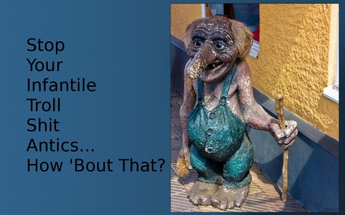 stop your infantile troll antics