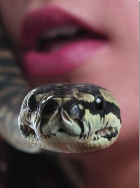 kiss the snake