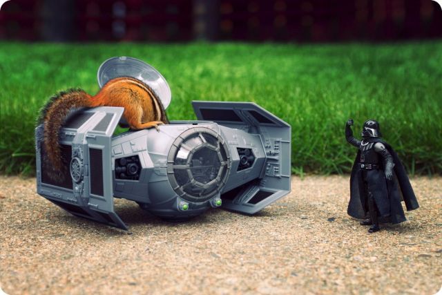darth vader’s tie fighter invaded by squirrel