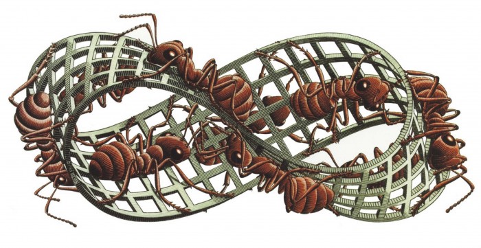 infinite ants