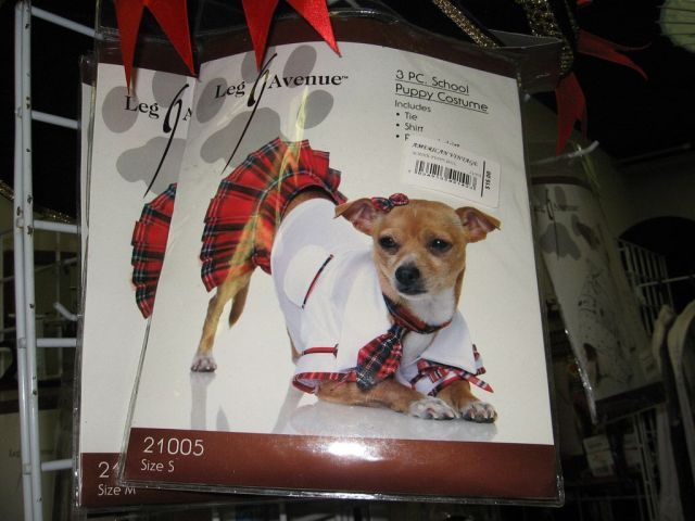 sexy school puppy costume