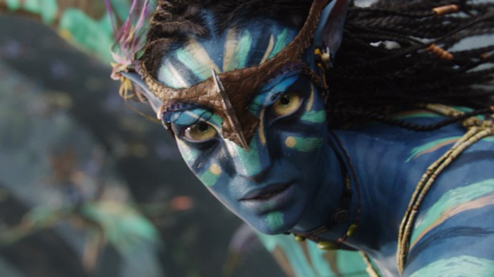 avatar - flying headgear