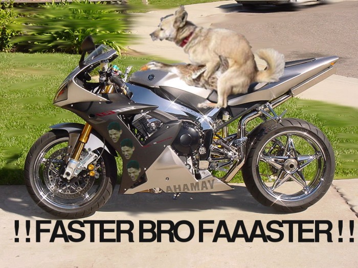 faster bro faaaster