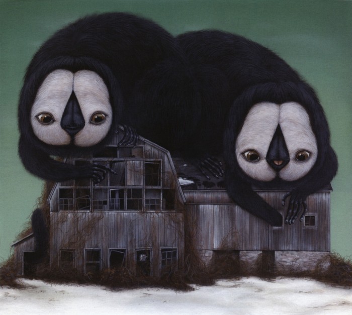 roof owls
