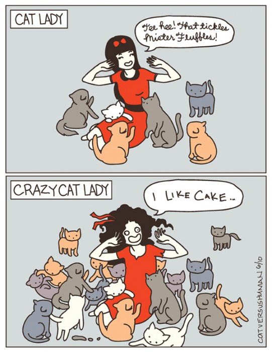 cat lady vs crazy cat lady