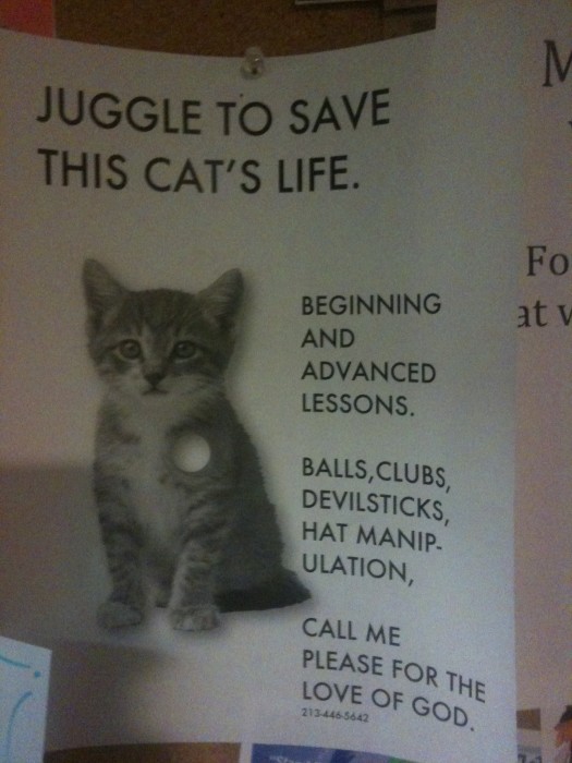 juggle to save this cats life