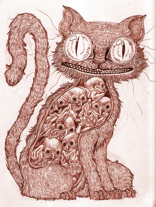 cat insides