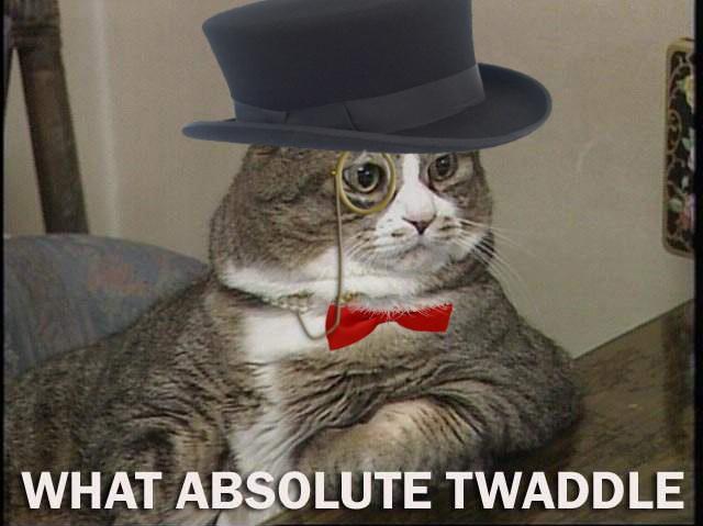 what absolute twaddle