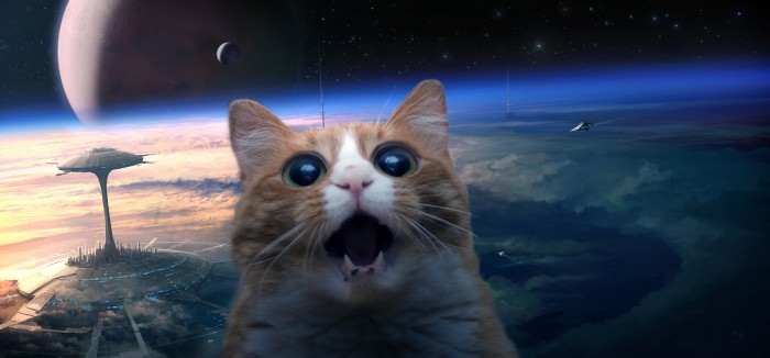 SPACE CAT