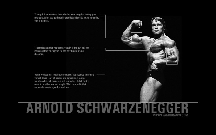arnold schwartzenegger quotes