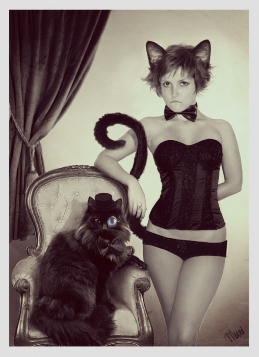 gentlemen cat and woman