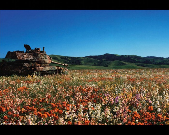 rusty tank in field of flowers