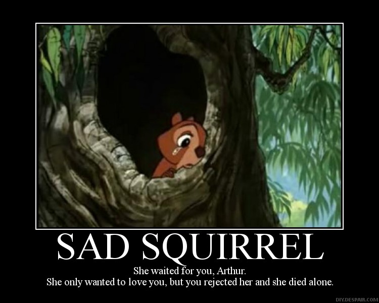 sad squirrel.