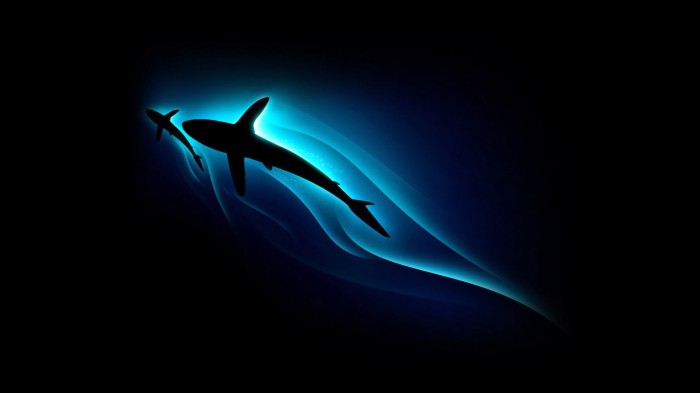 shark depths