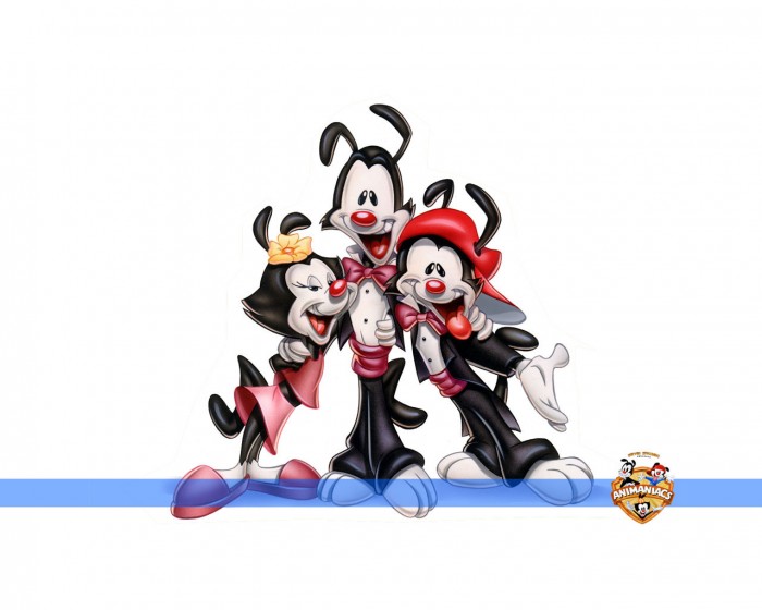 the animaniacs