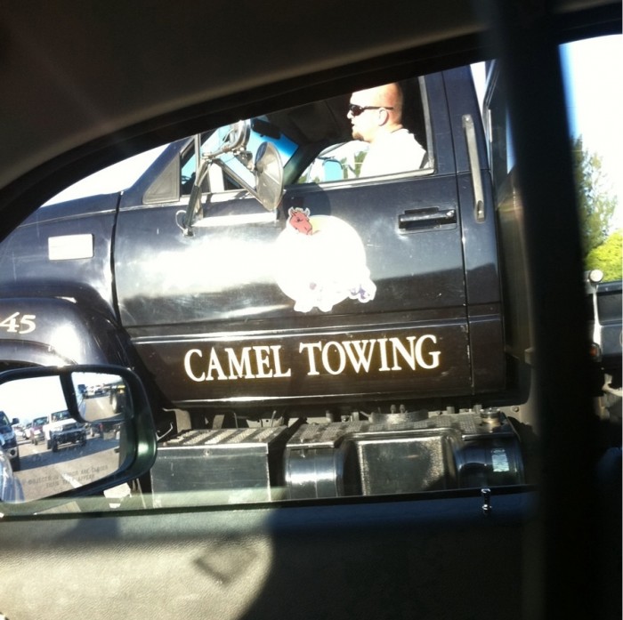 camel towing