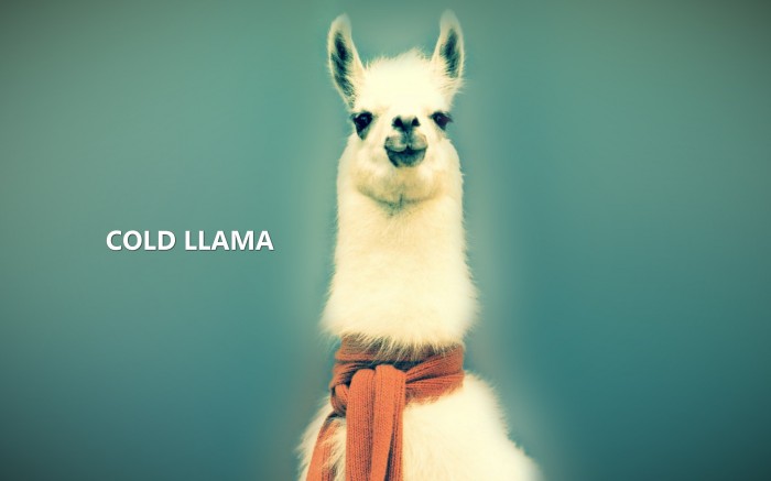 cold llama