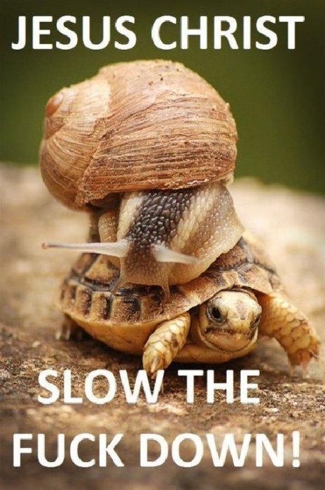 slow the fuck down