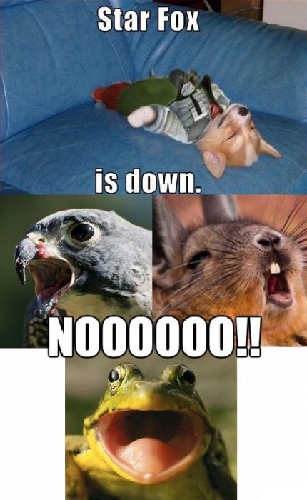 star fox is down