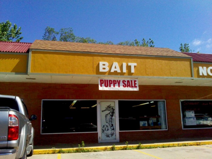 bait - puppy sale