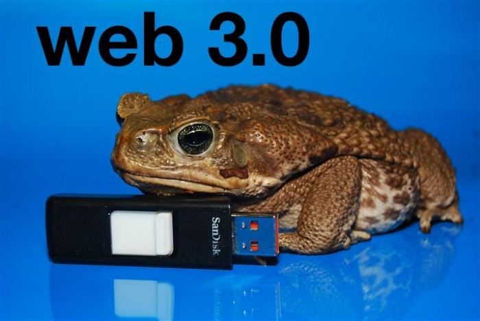 web 3.0